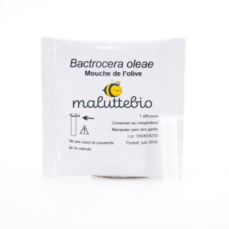 Feromona del gusano del olivo maluttebio
