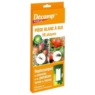 10 trampas adhesivas blancas Decamp