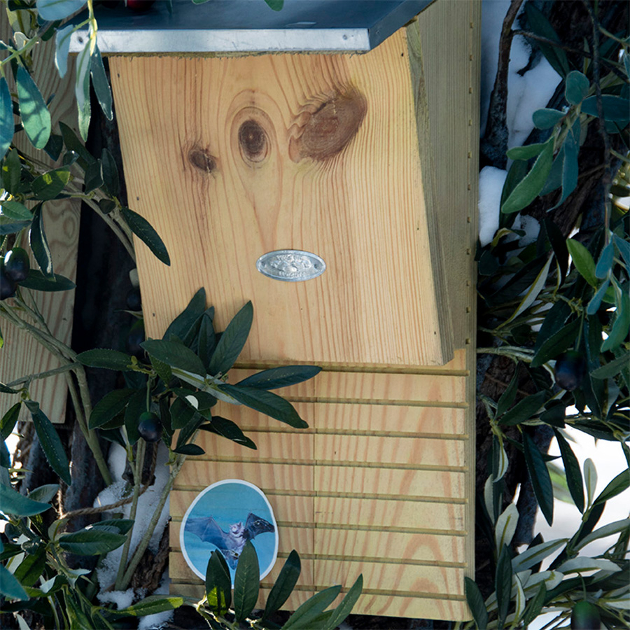 Caja nido para murciélagos