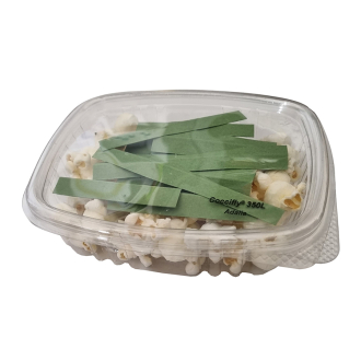 350 larvas de mariquita arbustos Coccifly Biotop