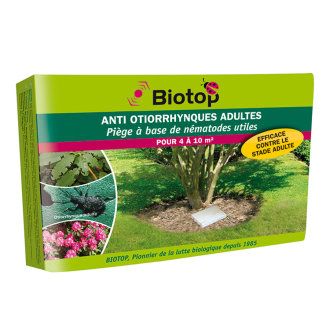Trampa para otiorrinco adulto Biotop