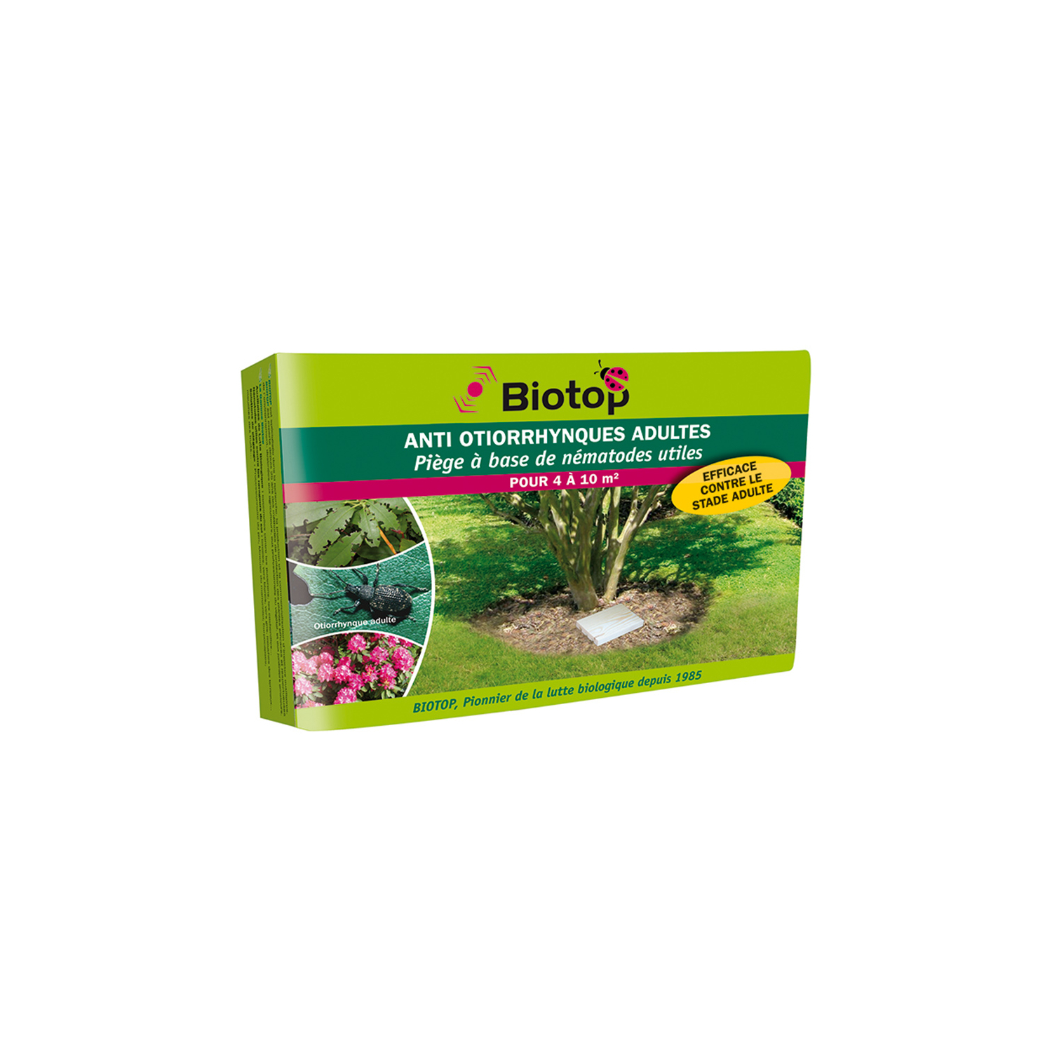 Trampa para otiorrinco adulto Biotop