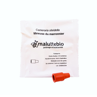 Feromona de la minadora del castaño de Indias maluttebio