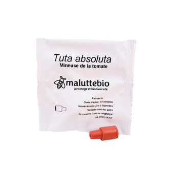 Feromona minadora del tomate maluttebio