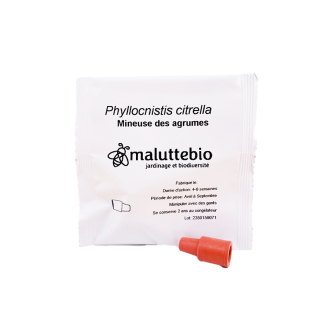 Feromona del minador de los cítricos