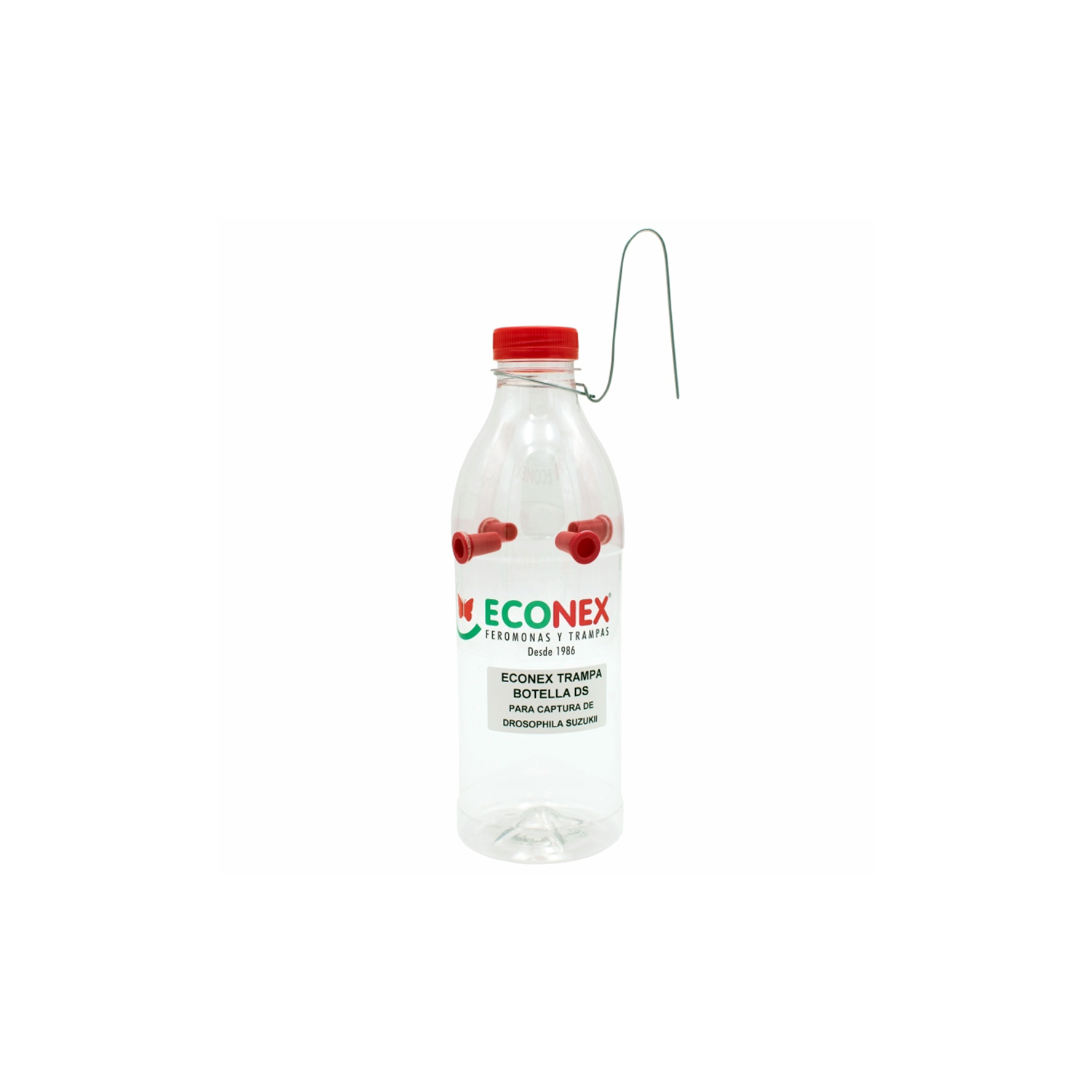 Flaschenfalle für Drosophila suzukii