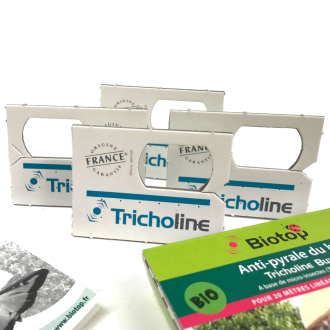 Tricogramas contra la polilla del boj Tricholine® Buxus