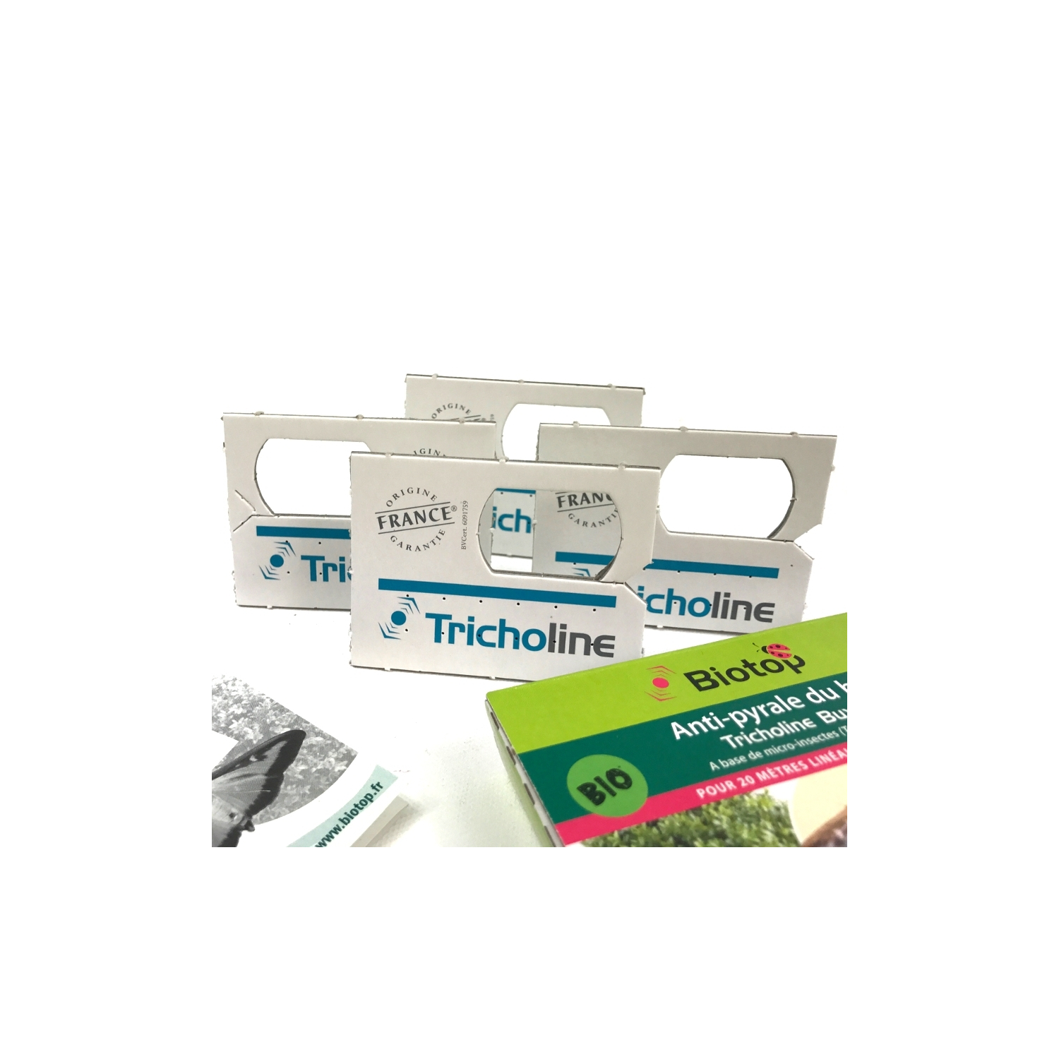 Tricogramas contra la polilla del boj Tricholine® Buxus