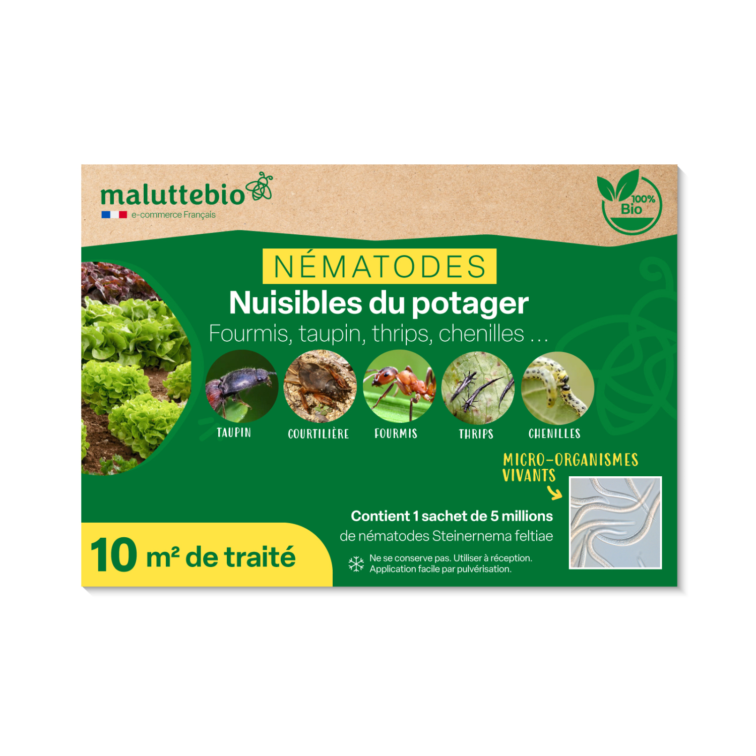 Nematodos Sf anti moscas del sustrato, gusanos de alambre, orugas del huerto y del frutal y hormigas 5 millones