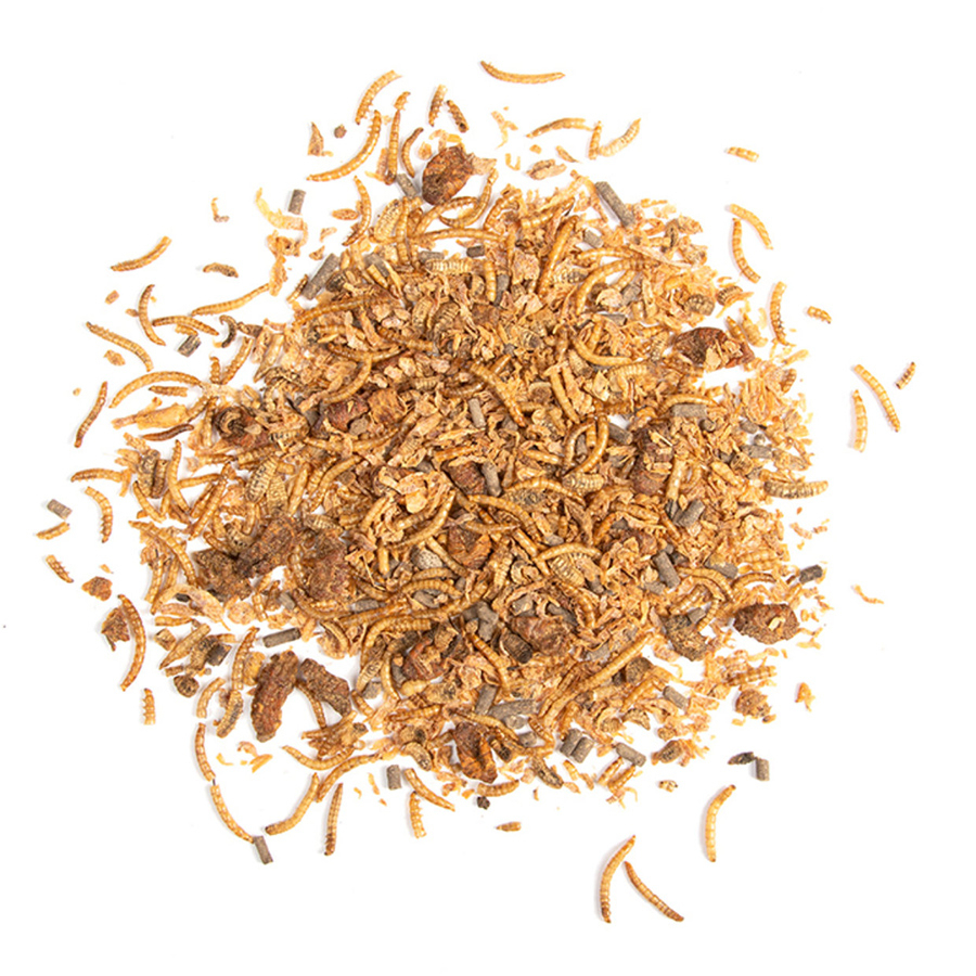 Insectos secos 250 g para aves o erizo