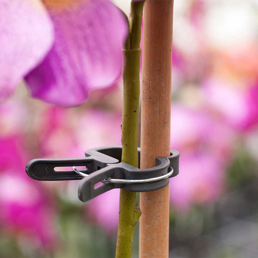 Pinces de tuteurage pour plantes 18 mm
