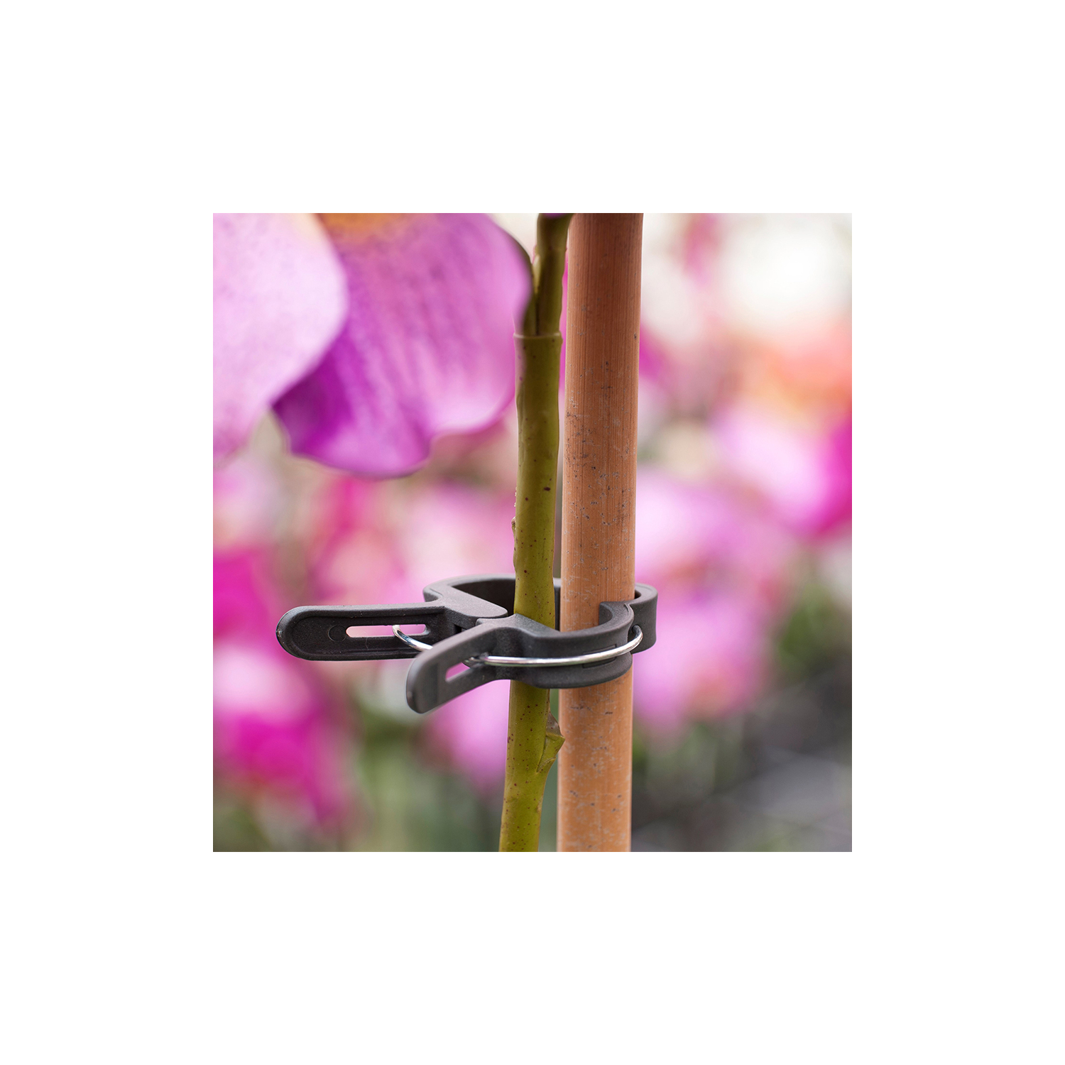 Pinces de tuteurage pour plantes 18 mm