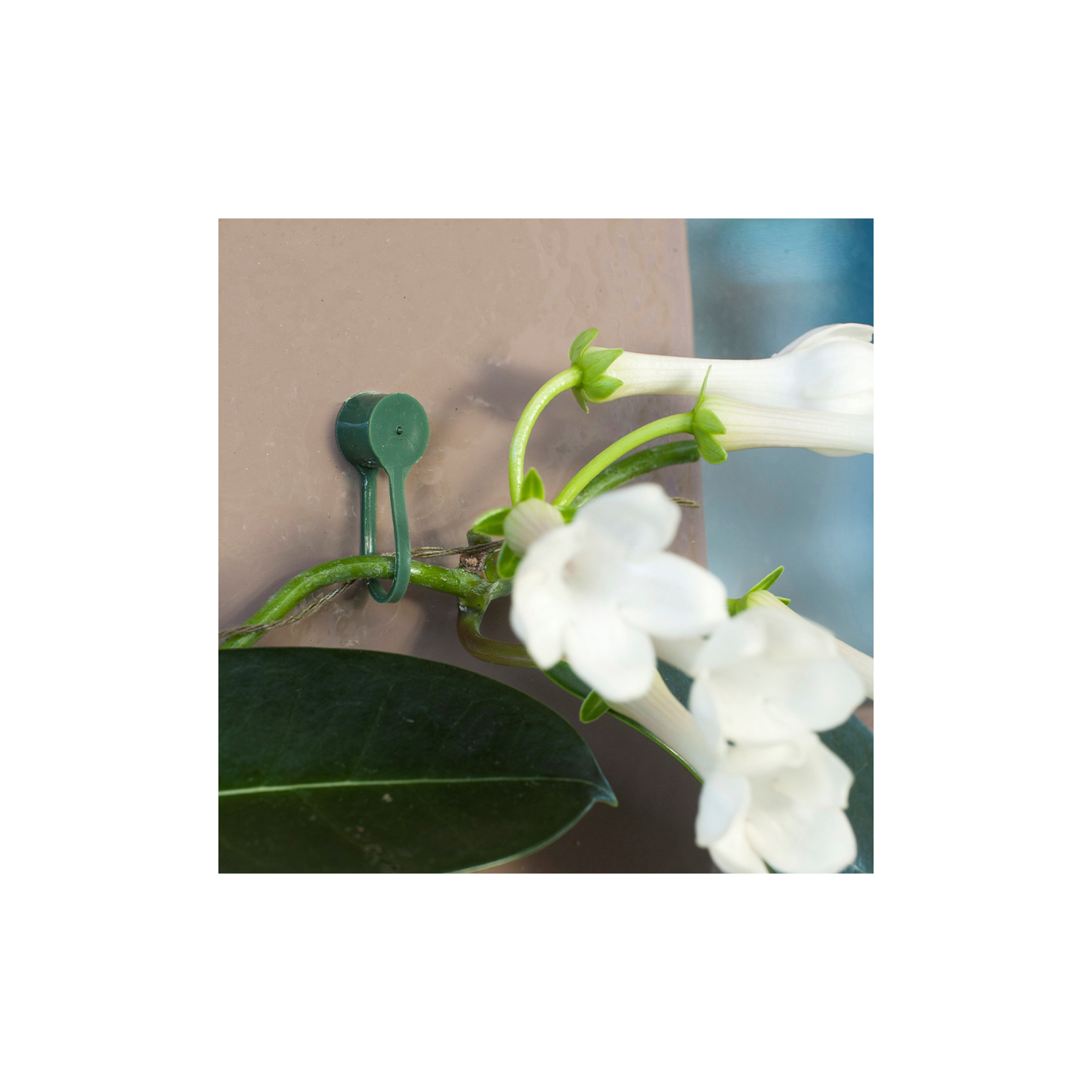Enlace con clip para chincheta Ø15mm verde x15