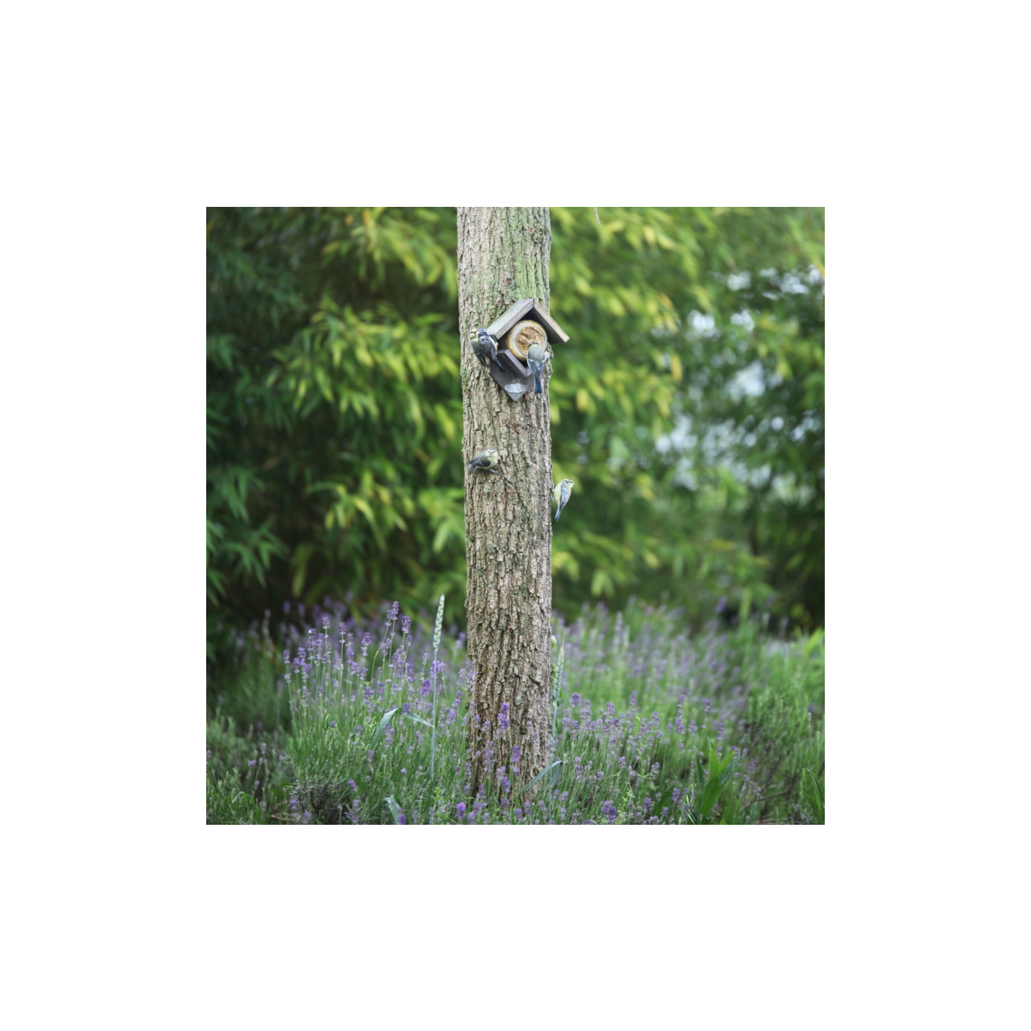 Mangeoire porte-bocal beurre de cacahuètes pour oiseaux antique - Esschert design