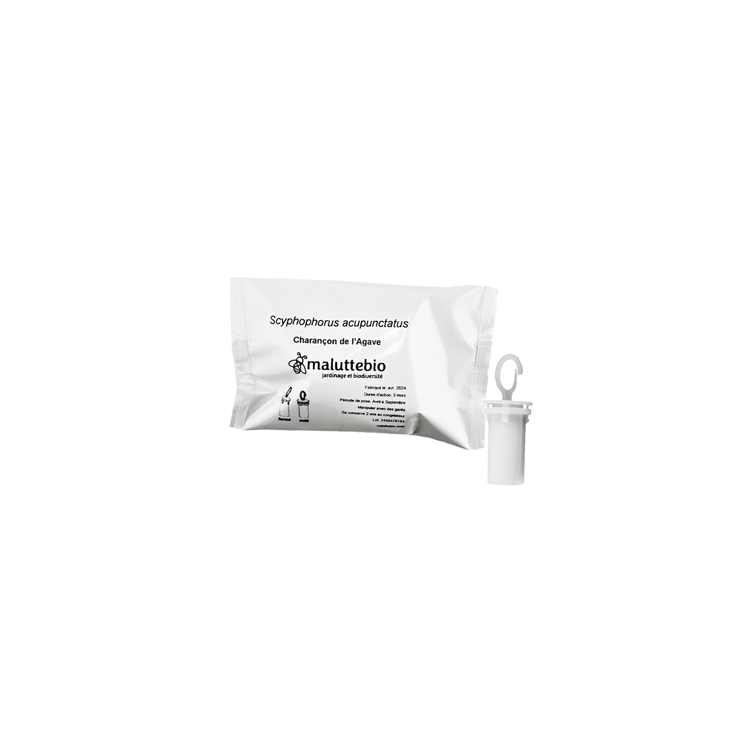 Langzeit-Agavenrüssler-Pheromon Maluttebio
