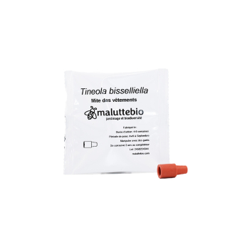 Feromona de la polilla de la ropa - Tineola Bisselliella