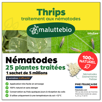 Nematodos SF contra los trips