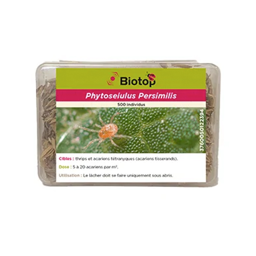Phytoseiulus persimilis antiácaros (500 individuos)