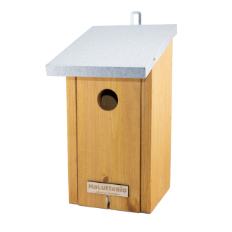 Caja nido para carbonero común