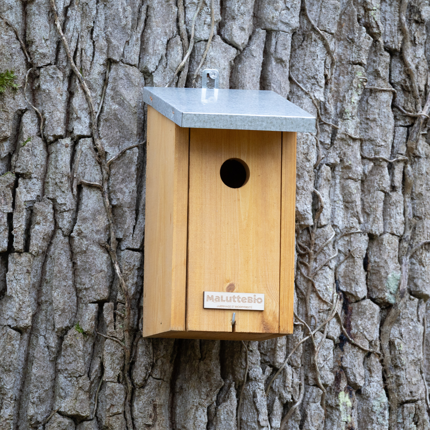 Great tit nesting box Maluttebio