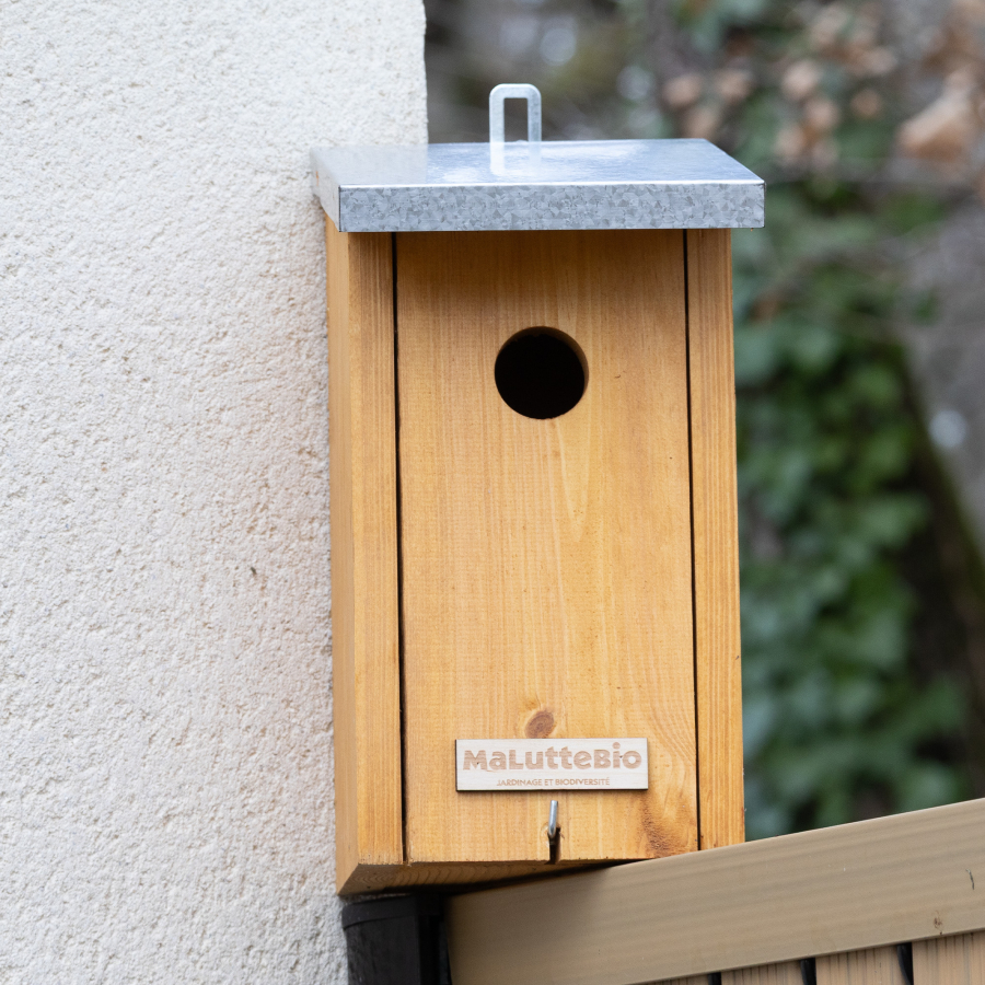 Great tit birdhouse Ø32 mm – thick & durable wood 🐦