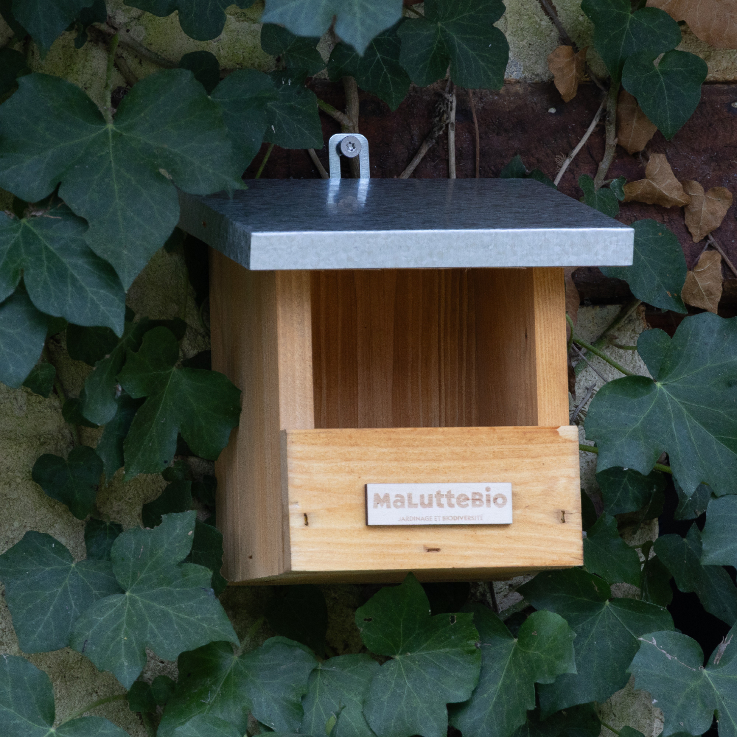Robin nesting box Maluttebio