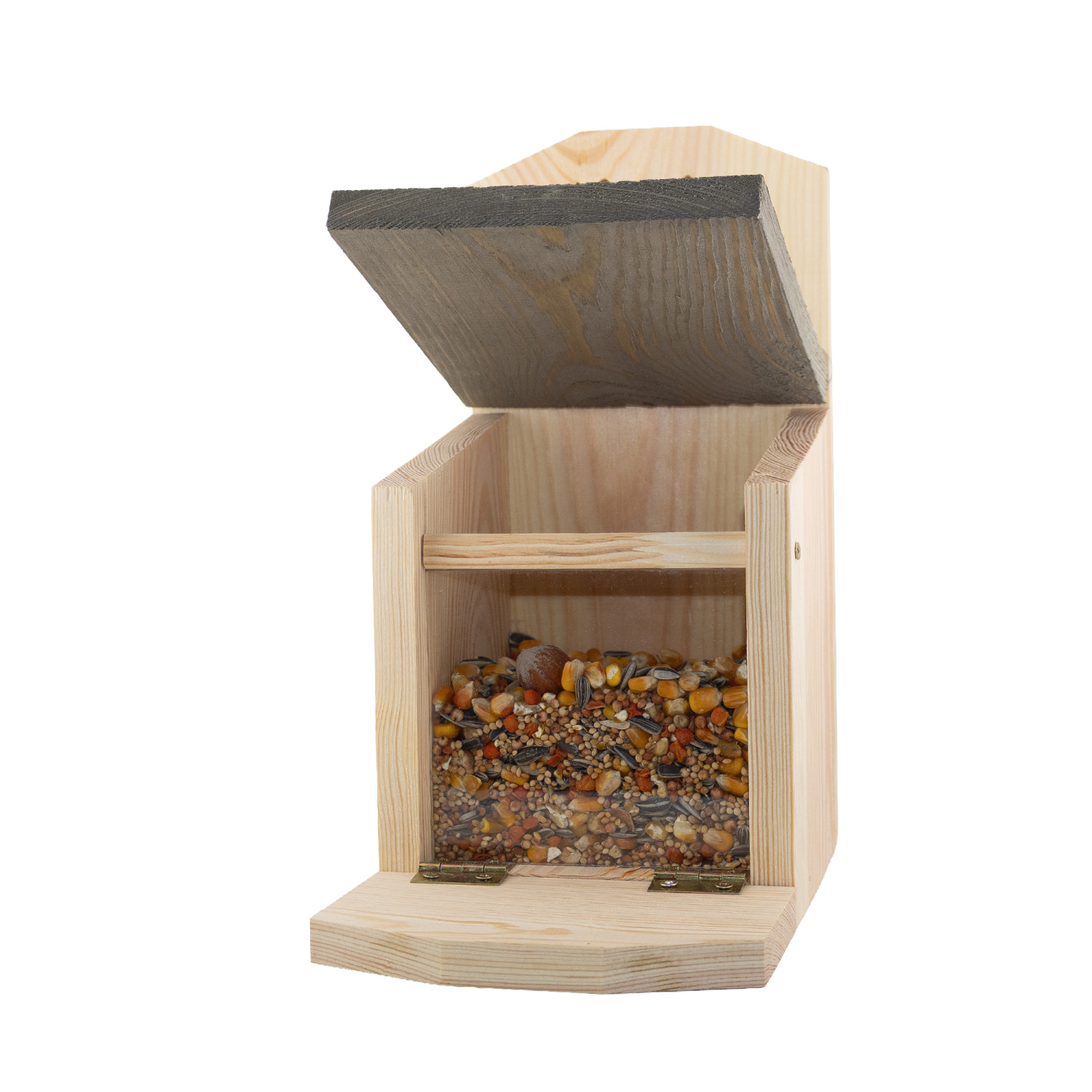 Squirrel feeder Maluttebio