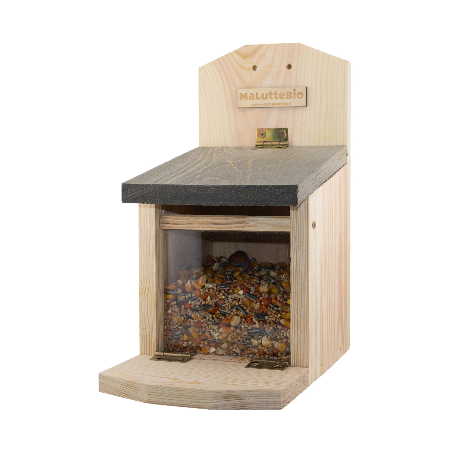 Squirrel feeder Maluttebio