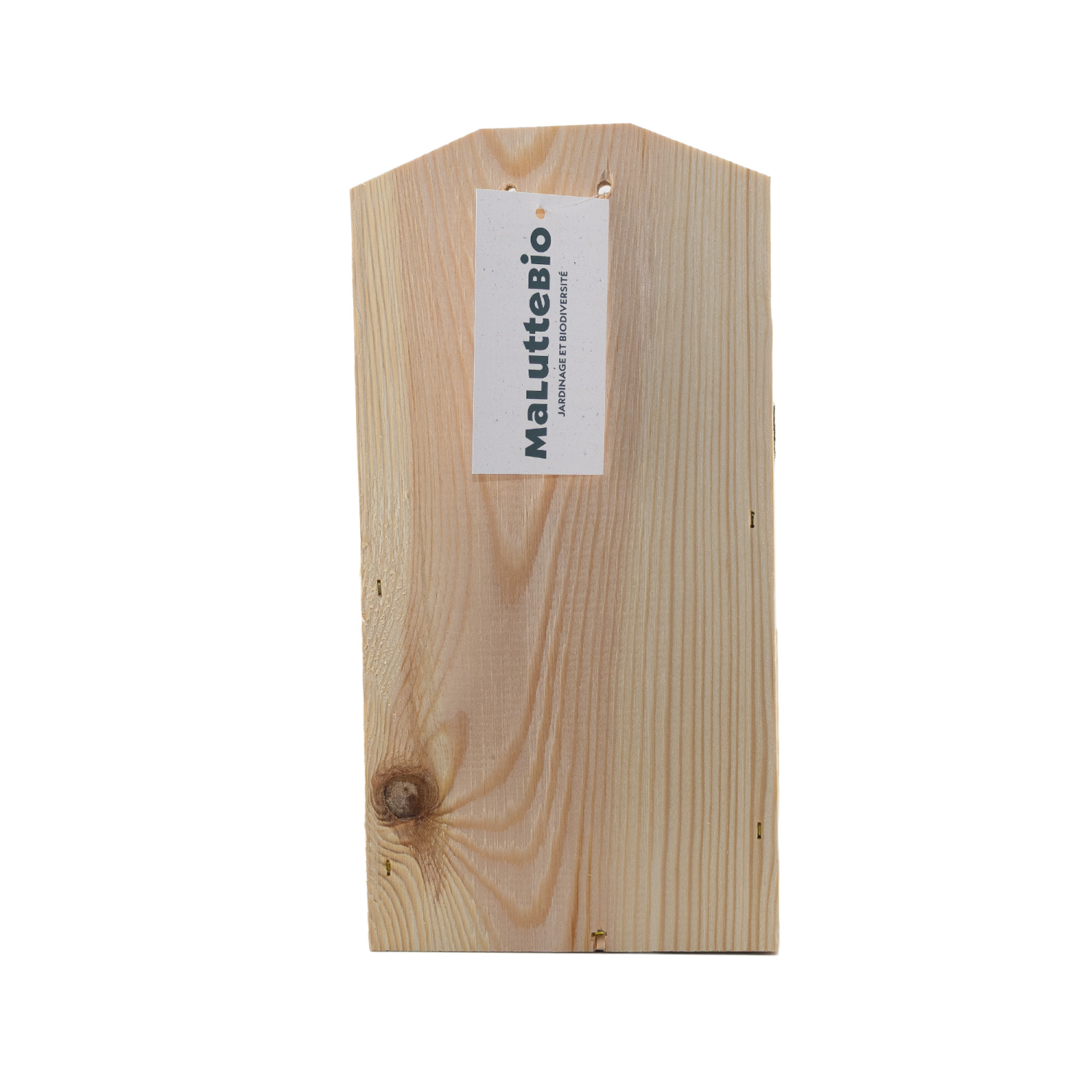 Squirrel feeder Maluttebio