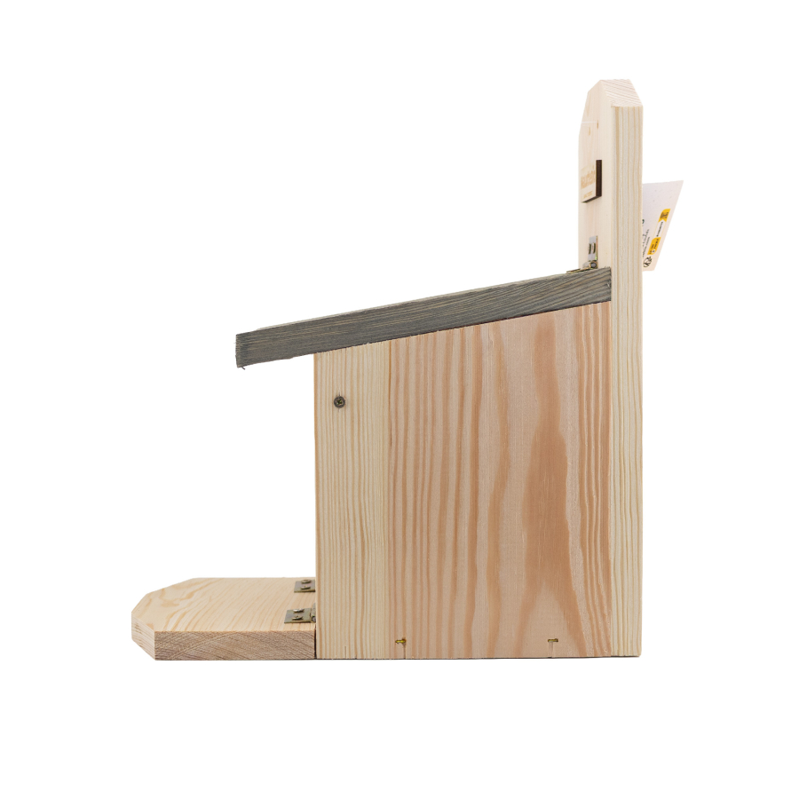 Squirrel feeder Maluttebio