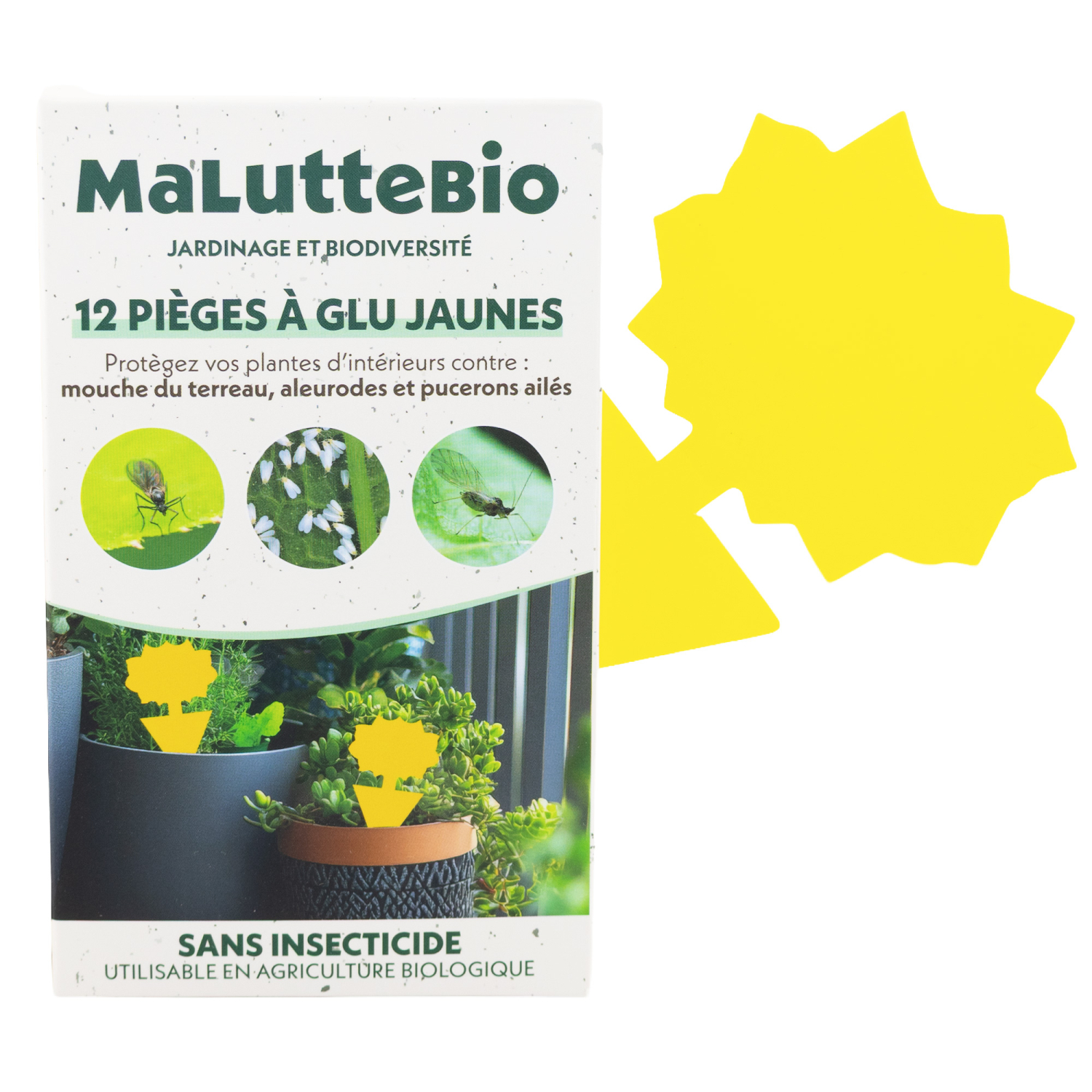 12 mini pièges jaune à glu jaunes pour plantes intérieurs Biotop