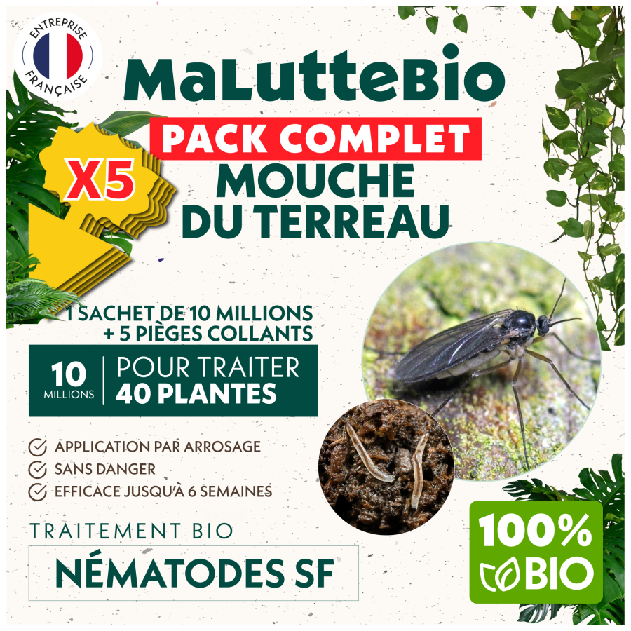 Nematodes SF - Fungus Gnats & Soil Flies +5 yellow traps | ORDER
