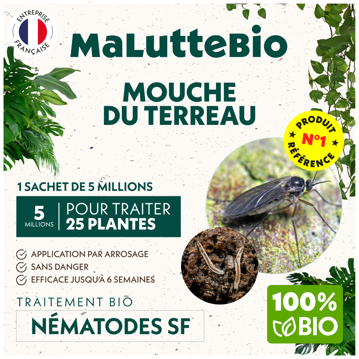 Nematodos Steinernema feltiae contra mosquitos del sustrato — Maluttebio