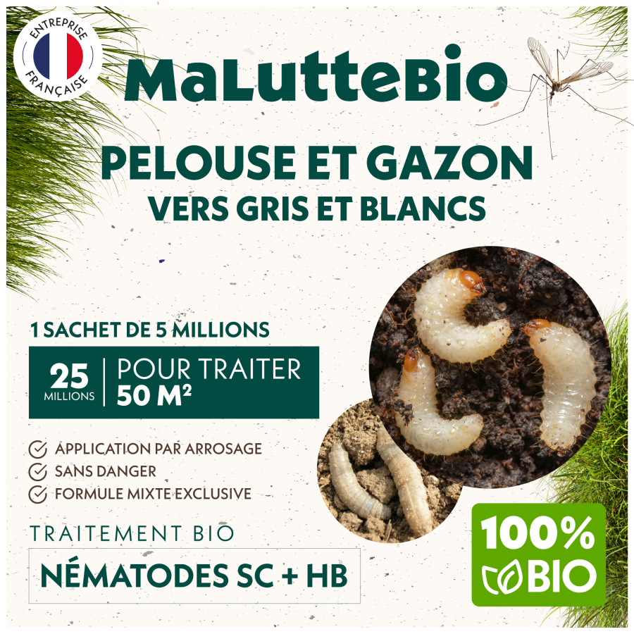 Nematodos del césped y del pasto