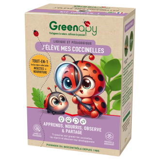 Kit de cría de mariquitas Greenapy – larvas + alimento