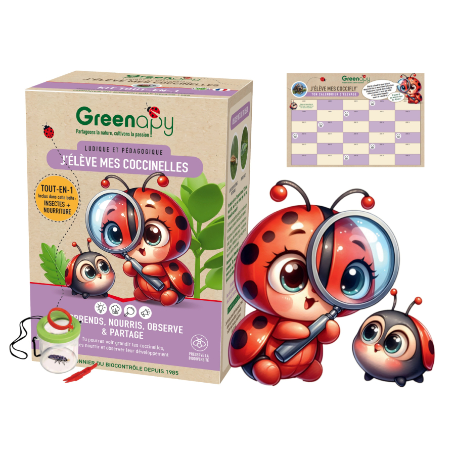 Kit de cría de mariquitas Greenapy – larvas + alimento