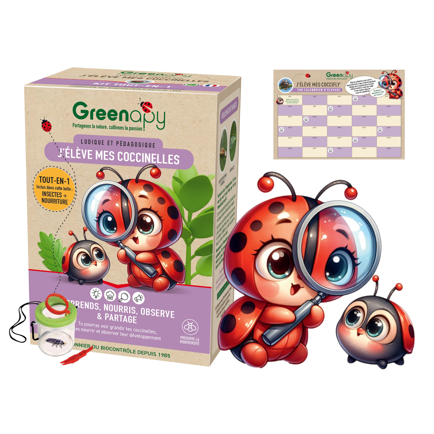 Kit de cría de mariquitas Greenapy – larvas + alimento