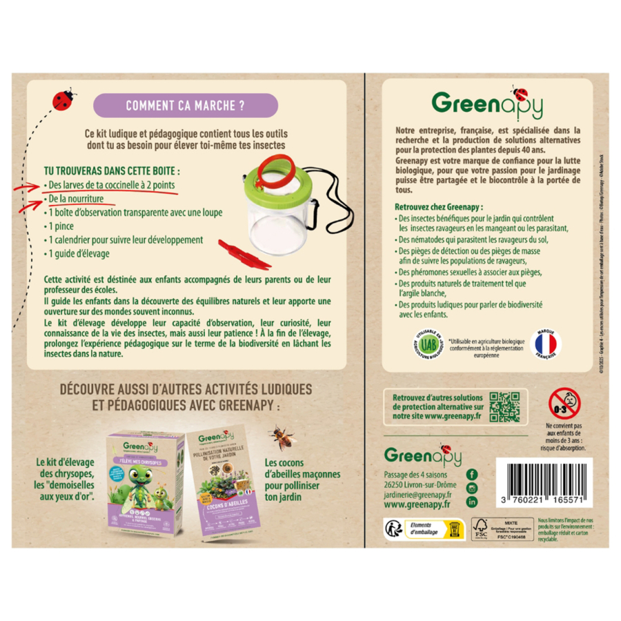 Ladybug Breeding Kit – Larvae + Food for Observation & Pest Control