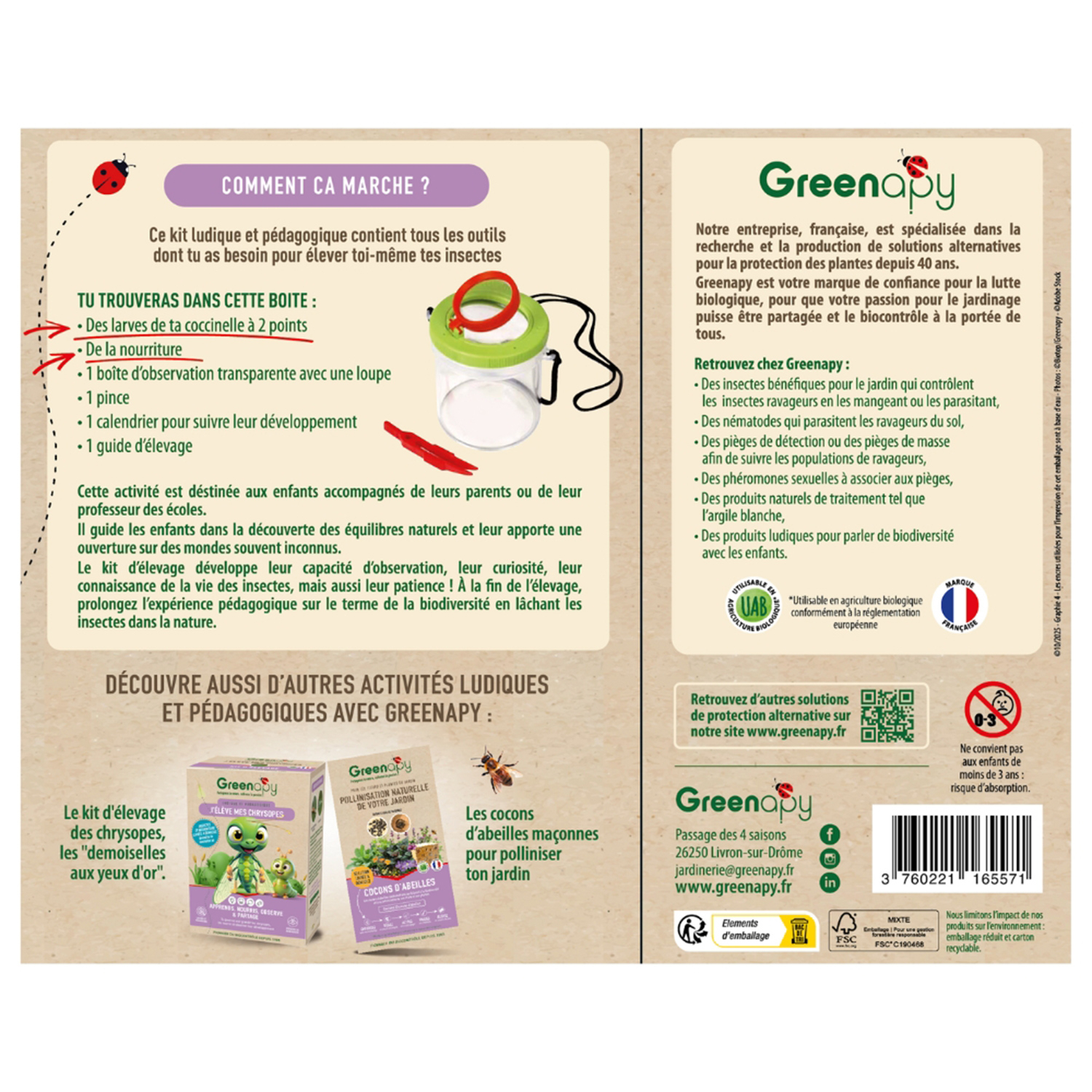 Ladybug Breeding Kit – Larvae + Food for Observation & Pest Control
