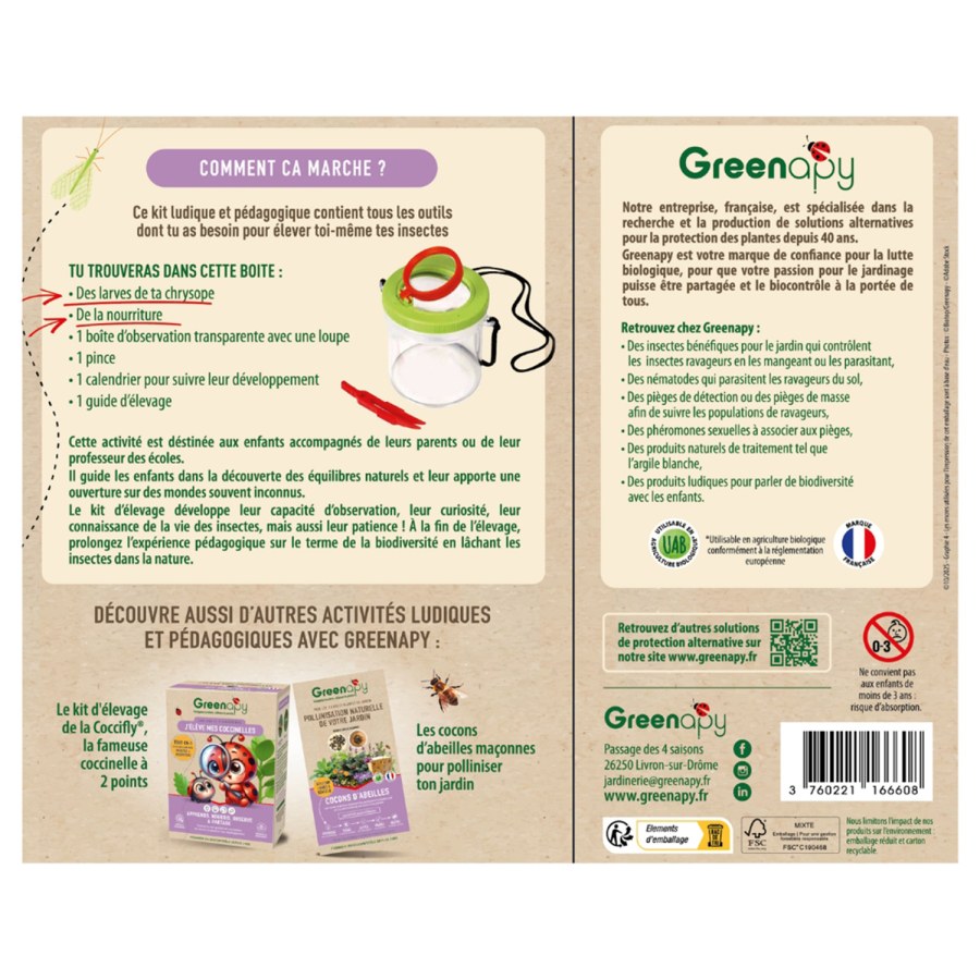 Breeding kit for green lacewings Greenapy – larvae + food (anti-aphid)