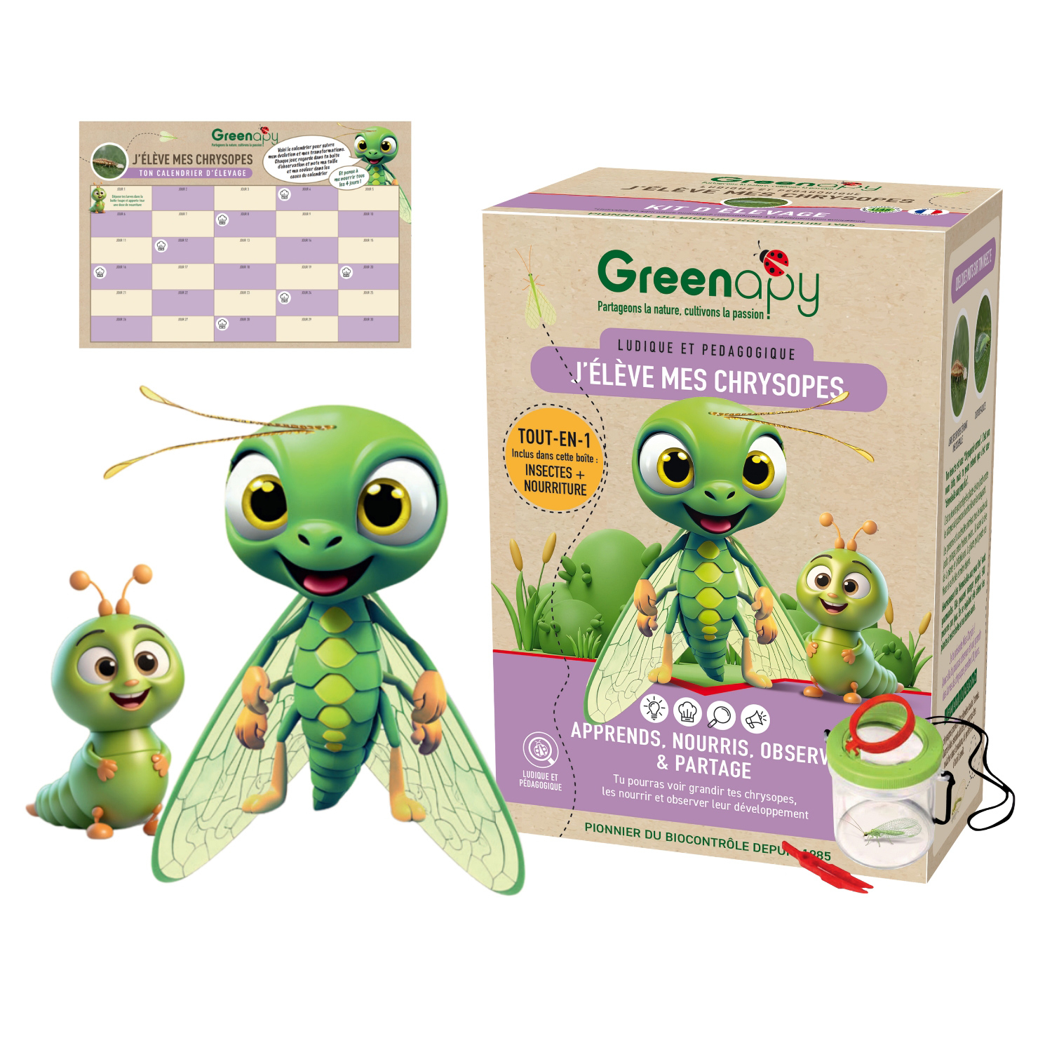 Breeding kit for green lacewings Greenapy – larvae + food (anti-aphid)