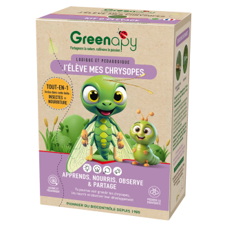 Kit de cría de crisopas Greenapy – larvas + alimento