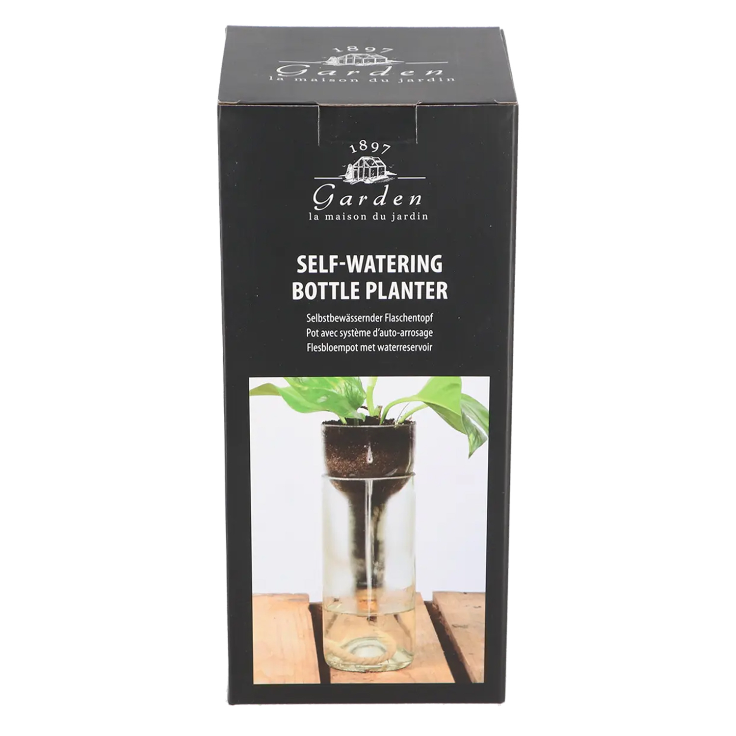 Maceta de vidrio con autorriego 21,7 cm – hidrocultivo e hidroponía