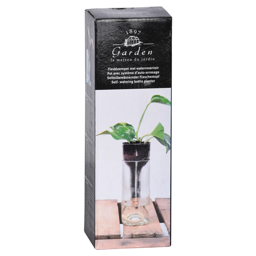 Maceta de vidrio con autorriego 21,7 cm – hidrocultivo e hidroponía