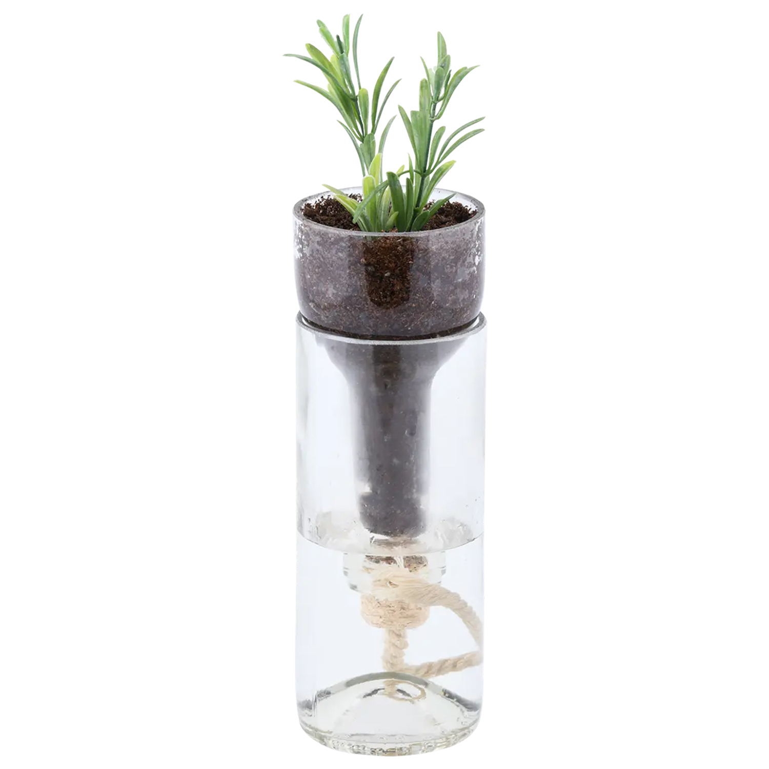 Maceta de vidrio con autorriego 21,7 cm – hidrocultivo e hidroponía