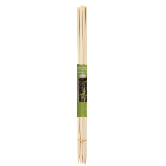 Tutores de bambú de 30 o 50 cm x20 – soporte natural para plantas
