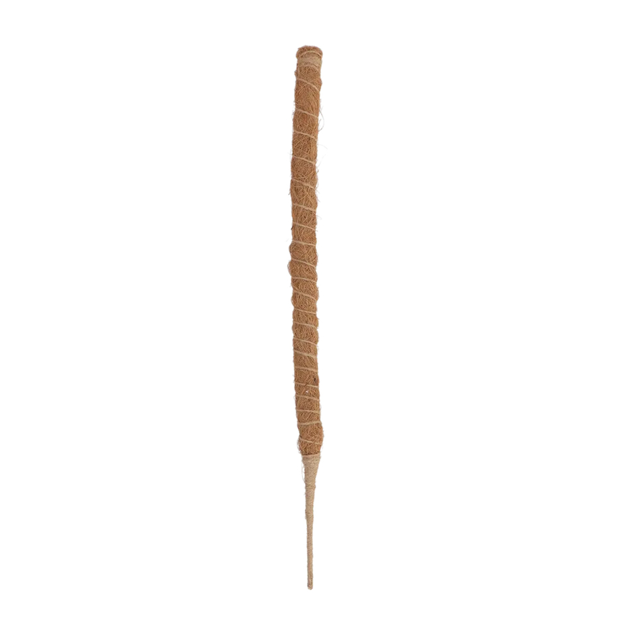 Tutor de coco flexible 60 cm – soporte modular para planta trepadora