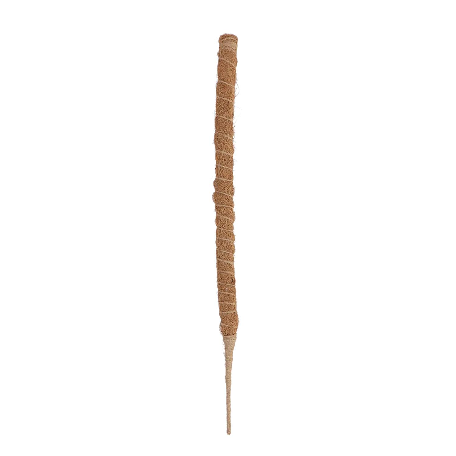 Tutor de coco flexible 60 cm – soporte modular para planta trepadora