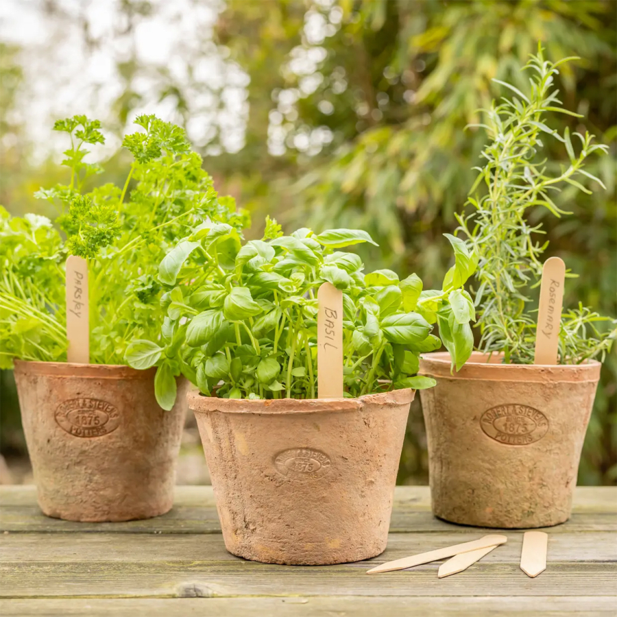 40 etiquetas de madera para plantas