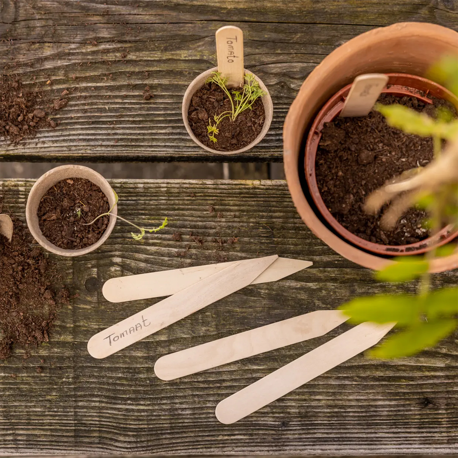 40 etiquetas de madera para plantas